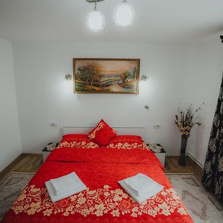 Casa Andreea Si Grigore Ursu Borşa Dış mekan fotoğraf