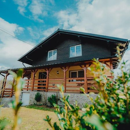Casa Andreea Si Grigore Ursu Borşa Dış mekan fotoğraf