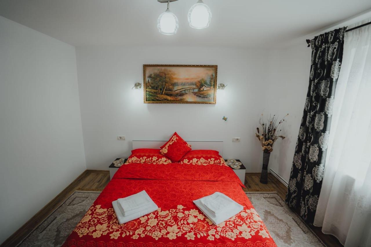 Casa Andreea Si Grigore Ursu Borşa Dış mekan fotoğraf