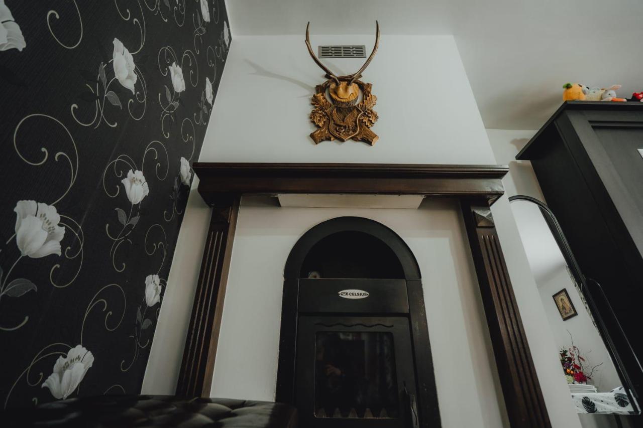 Casa Andreea Si Grigore Ursu Borşa Dış mekan fotoğraf