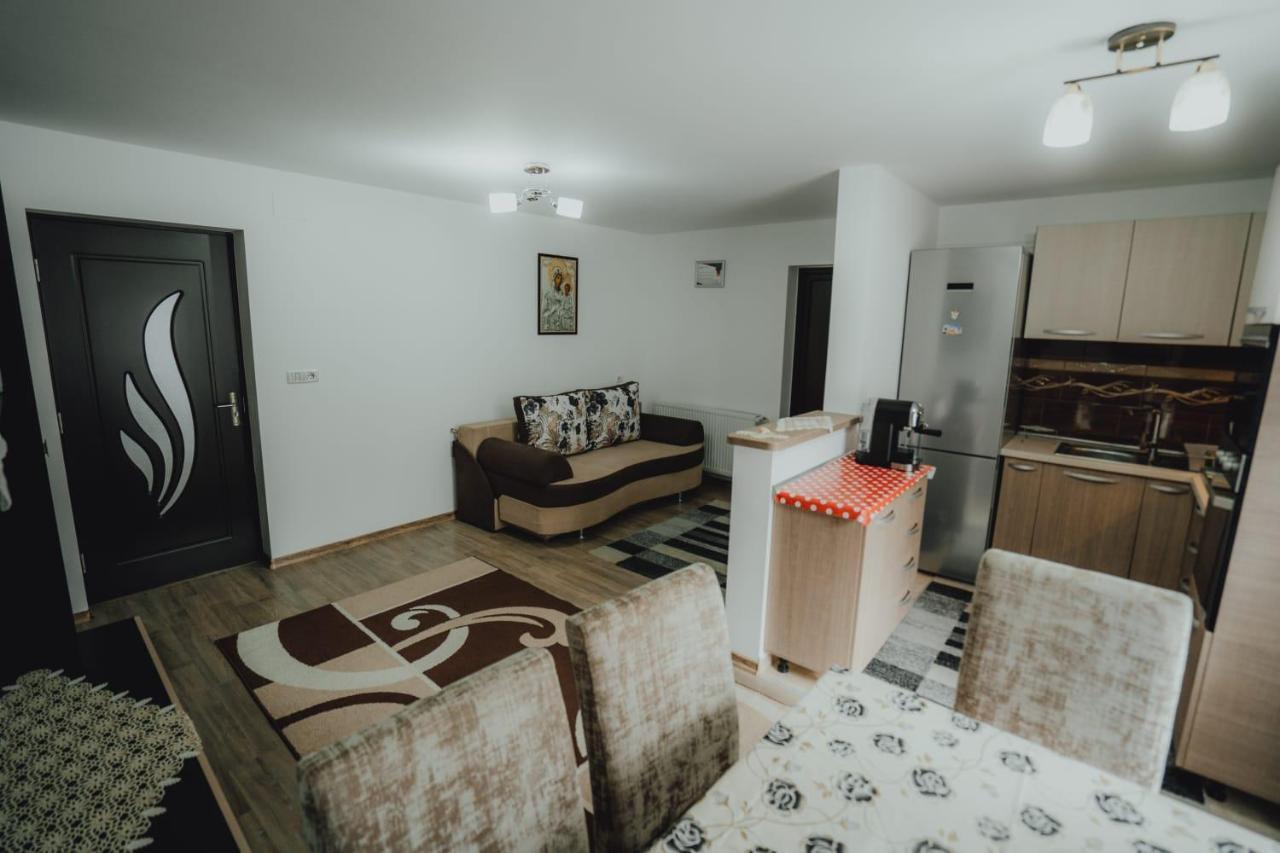 Casa Andreea Si Grigore Ursu Borşa Dış mekan fotoğraf