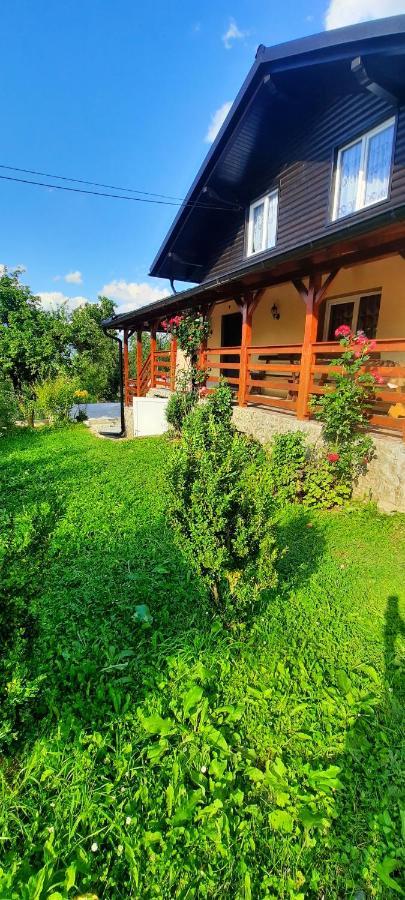 Casa Andreea Si Grigore Ursu Borşa Dış mekan fotoğraf