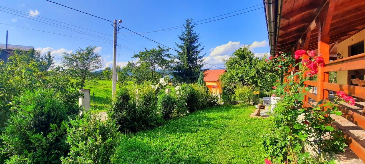 Casa Andreea Si Grigore Ursu Borşa Dış mekan fotoğraf